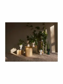Ruukut & Istutusastiat<Iittala Nappula-kasviruukku WHITE