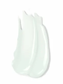 Estée Lauder NightWear Plus Anti-Oxidant Night Cream -yövoide 50 ml^ Kasvojenhoito