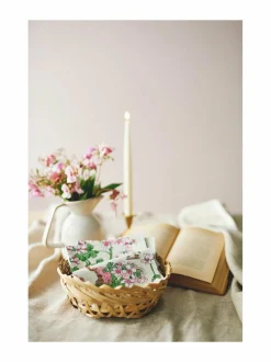 Keittiö- & Kattaustekstiilit<Havi Nuppu Pelargonia -servetti 33 x 33 cm, 20 kpl BEIGE
