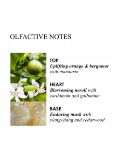 Huonetuoksut & Tuoksukynttilät<Molton Brown Orange & Bergamot Aroma Reeds Refill -täyttöpakkaus 150 ml