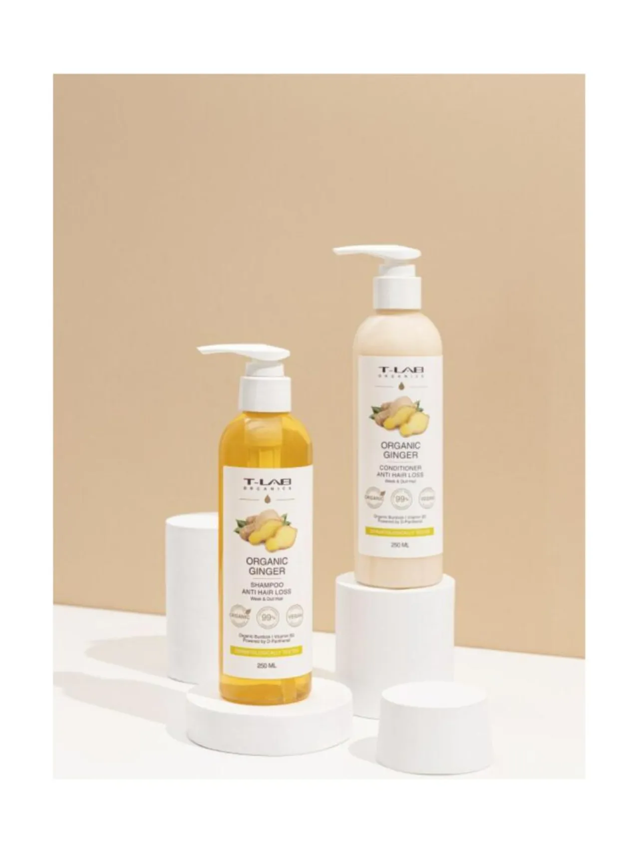 T-LAB Professional Organic Ginger Anti Hair Loss Conditioner -hoitoaine hauraille hiuksille 250ml^ Hiustenhoito