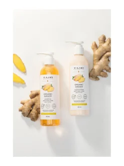 T-LAB Professional Organic Ginger Duo Set -hiustenhoitopakkaus, 2 tuotetta^ Hiustenhoitopakkaukset