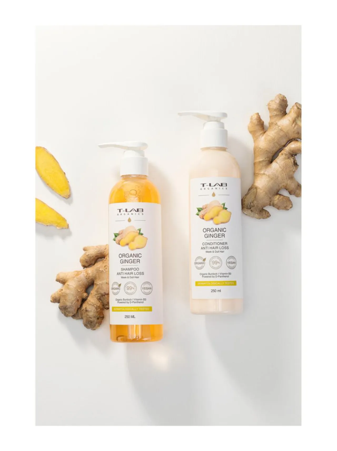 T-LAB Professional Organic Ginger Duo Set -hiustenhoitopakkaus, 2 tuotetta^ Hiustenhoitopakkaukset