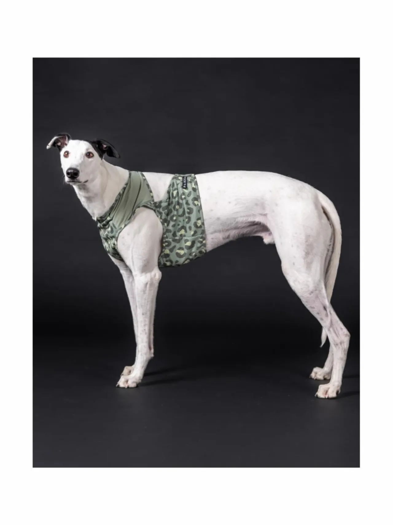 PAIKKA Cool Vest Green Leo^ Koiran Vaatteet
