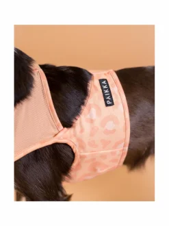 PAIKKA Cool Vest Peach^ Koiran Vaatteet