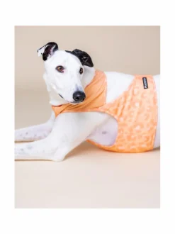 PAIKKA Cool Vest Peach^ Koiran Vaatteet