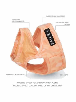 PAIKKA Cool Vest Peach^ Koiran Vaatteet
