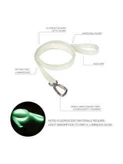 PAIKKA Glow Leash^ Kaulapannat Ja Talutushihnat