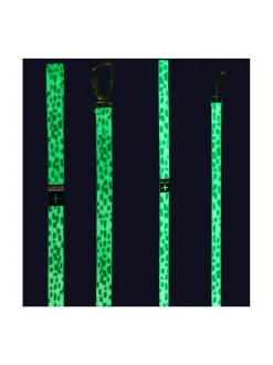 Kaulapannat Ja Talutushihnat<PAIKKA Glow Leash 2.0 WHITE