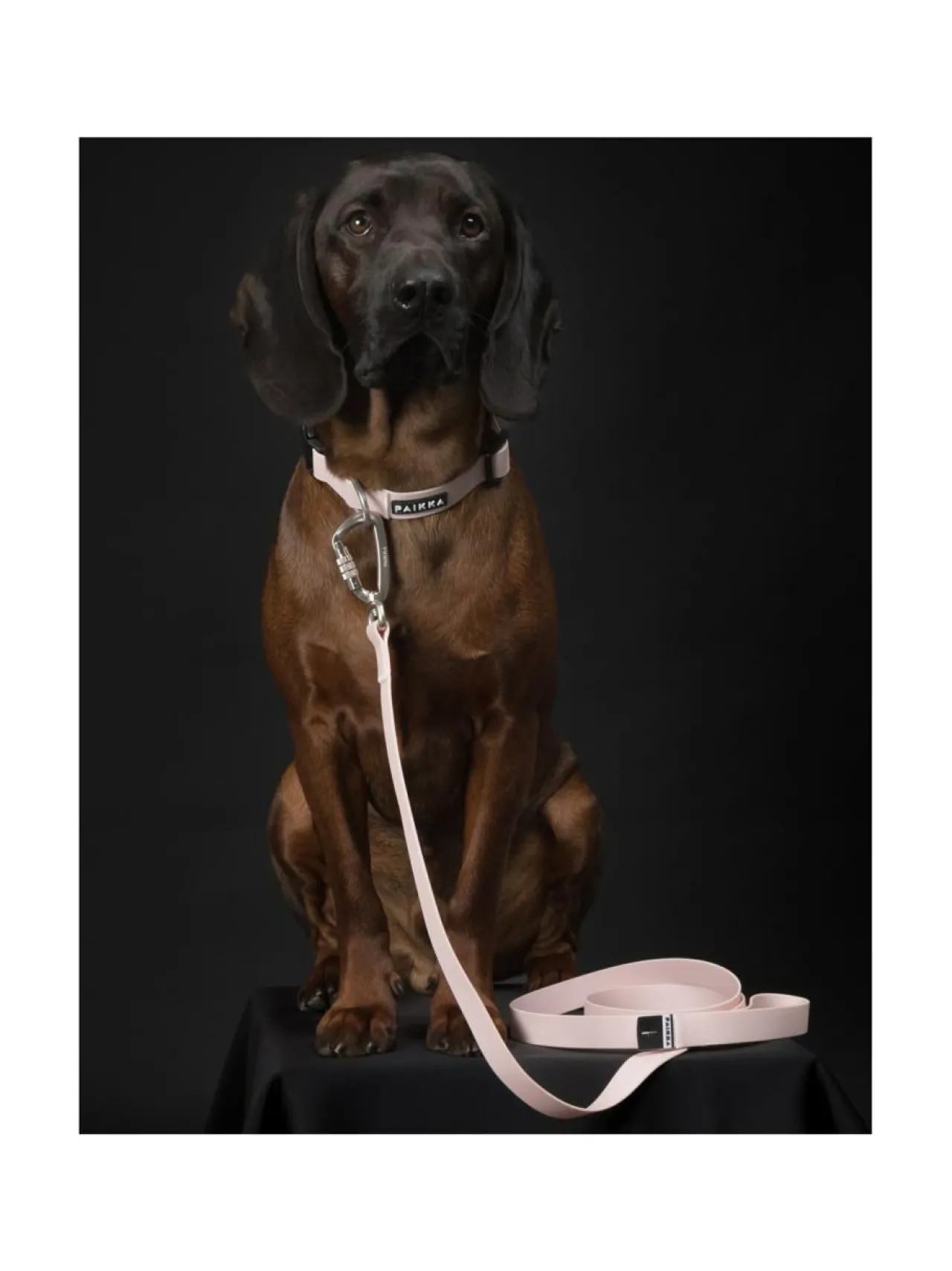 Kaulapannat Ja Talutushihnat<PAIKKA Glow Leash Pale Pink