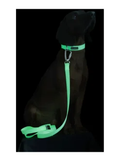 Kaulapannat Ja Talutushihnat<PAIKKA Glow Leash Pale Pink