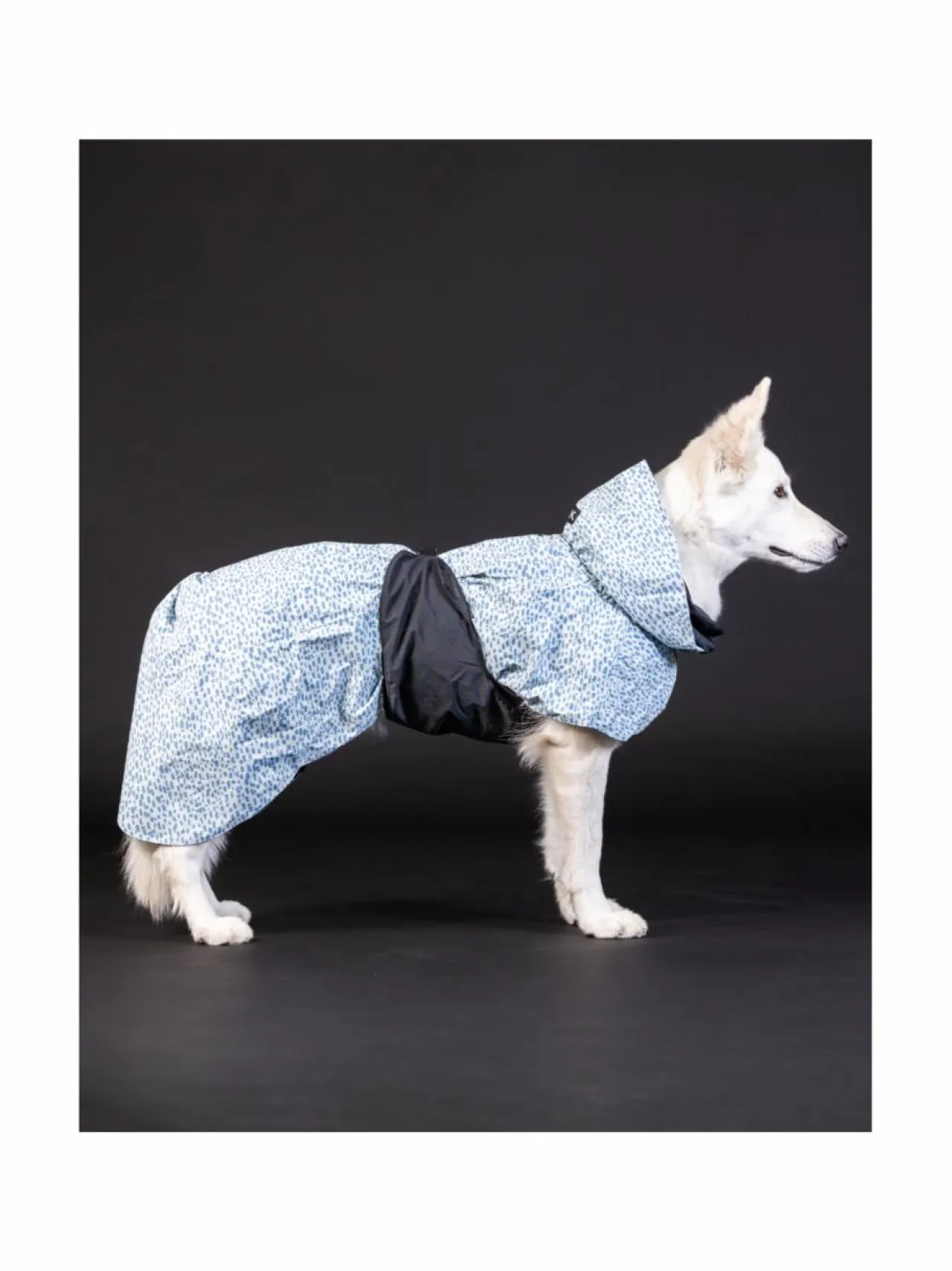 PAIKKA Raincoat 2.0 Baby Blue^ Koiran Vaatteet