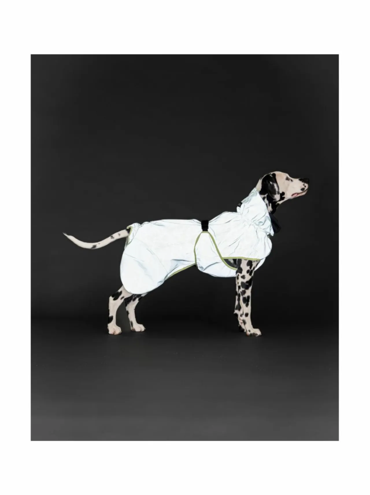 PAIKKA Reflective Shell Jacket Matcha^ Koiran Vaatteet