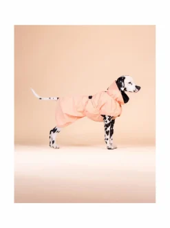 PAIKKA Reflective Shell Jacket Peach^ Koiran Vaatteet