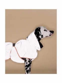 PAIKKA Reflective Shell Jacket Peach^ Koiran Vaatteet