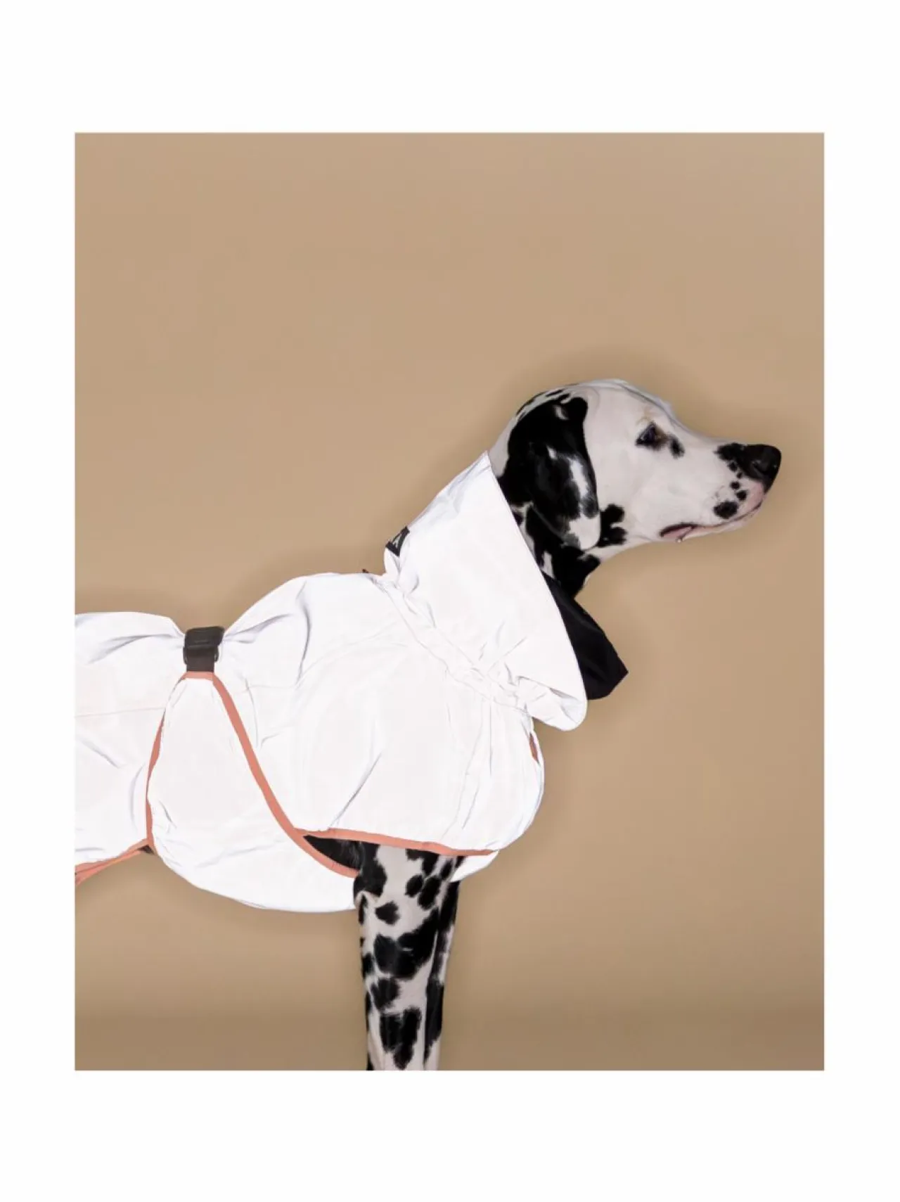 PAIKKA Reflective Shell Jacket Peach^ Koiran Vaatteet