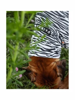 PAIKKA SS25 UV & Bug Shirt^ Koiran Vaatteet