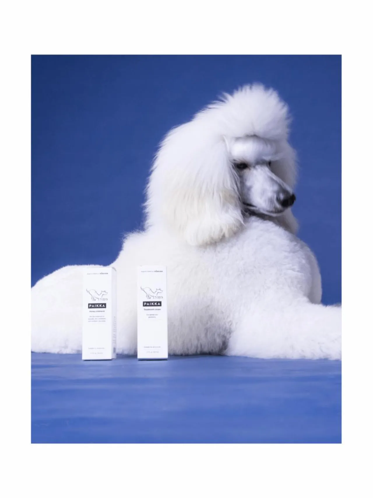 Hoitotuotteet Ja -Tarvikkeet<PAIKKA Summer Treatment Cream 50ml