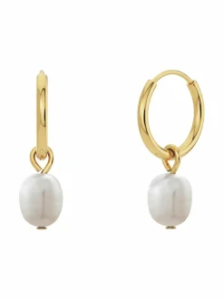 Edblad Perla Hoops -korvakorut^ Korut