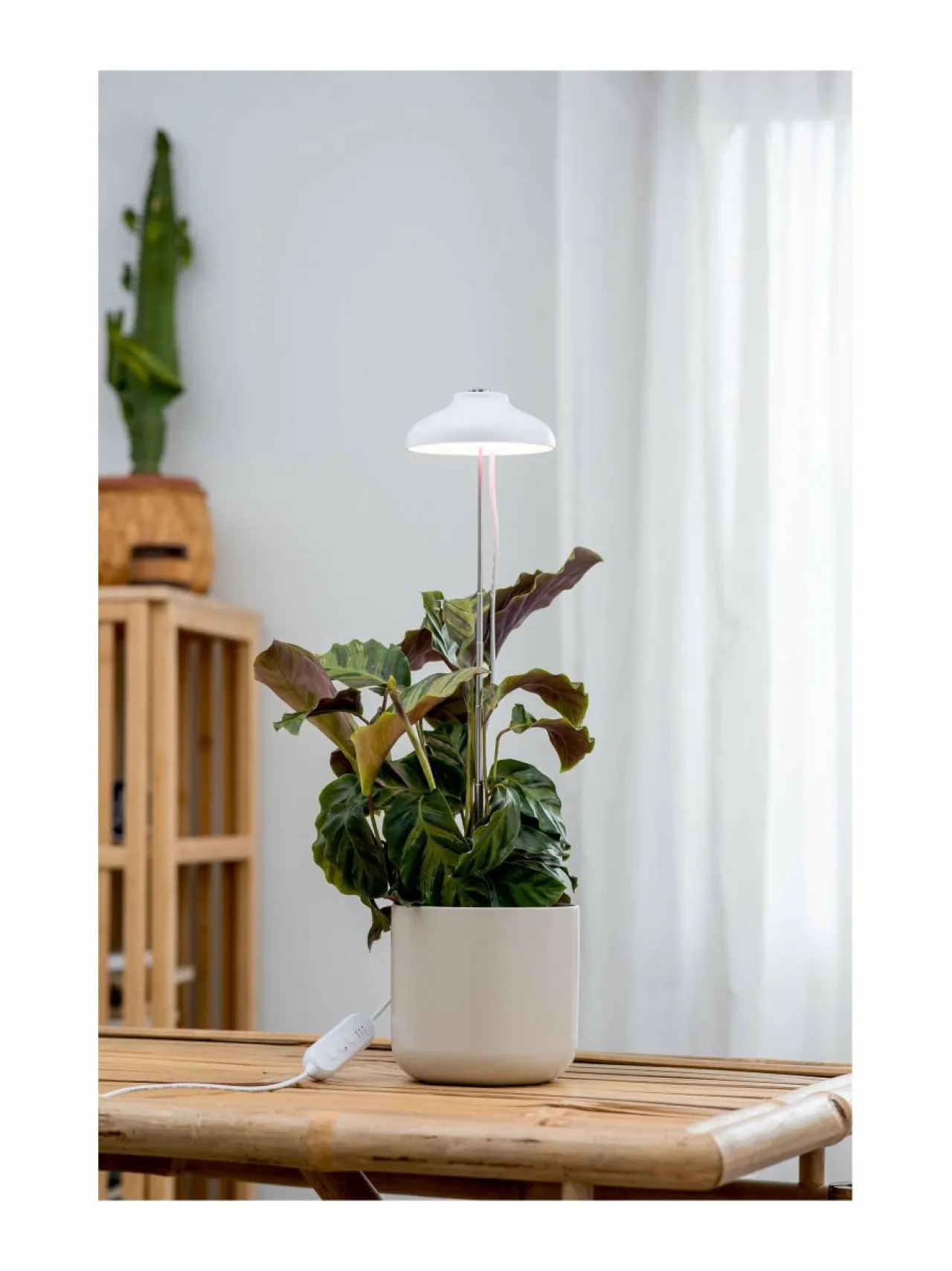 Lamput<Airam Plant Light Iris -kasvivalaisin 5W/835 240 lm WHITE