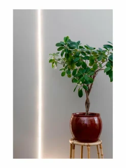 Lamput<Airam Plant Light Led Strip - LED-kasvivalaisin 2m WHITE