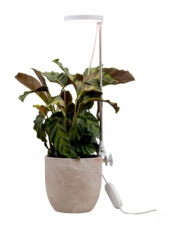 Lamput<Airam Plant Light Rose - kasvivalaisin 10W/735 290 lm USB WHITE