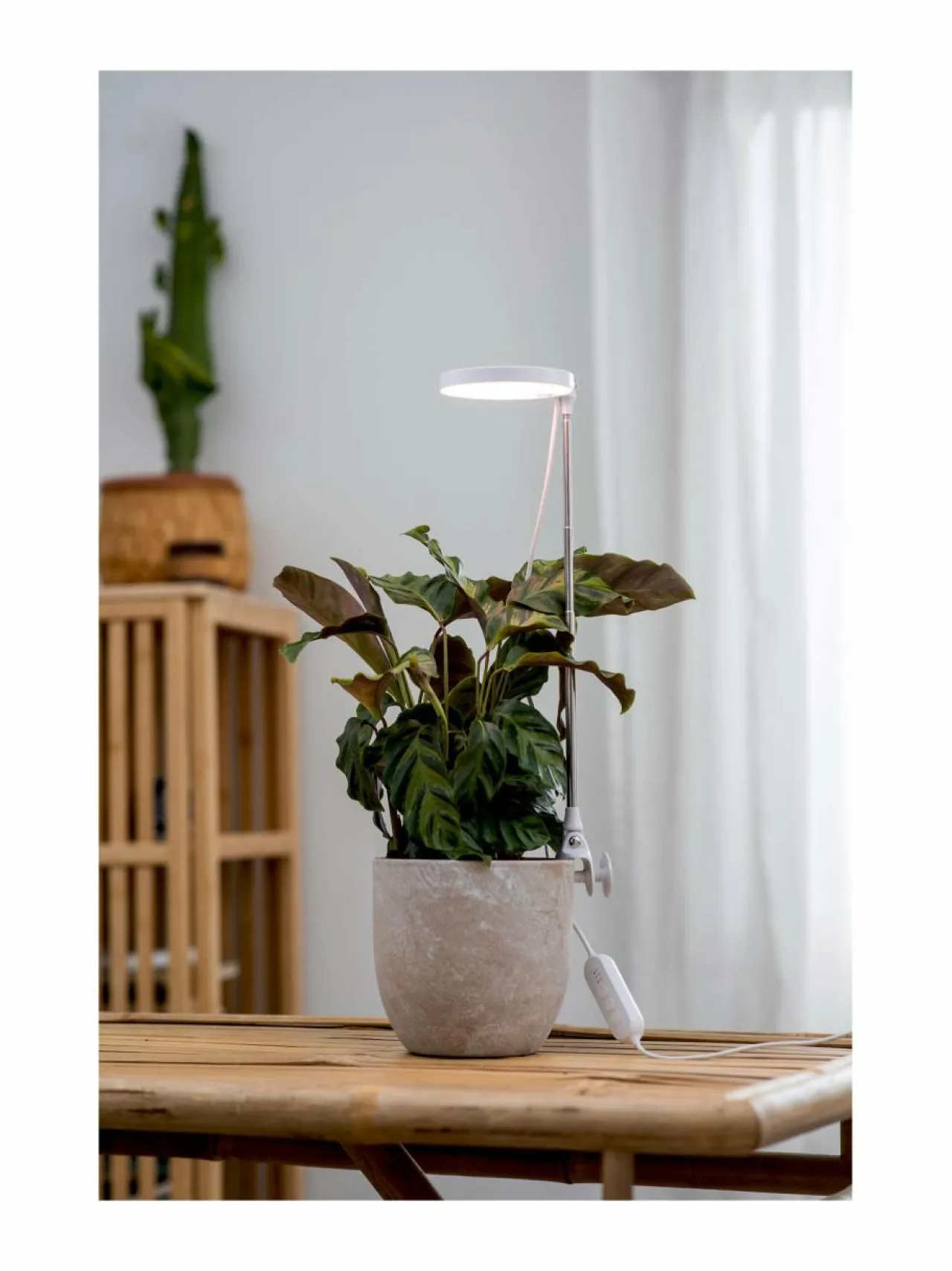Lamput<Airam Plant Light Rose - kasvivalaisin 10W/735 290 lm USB WHITE