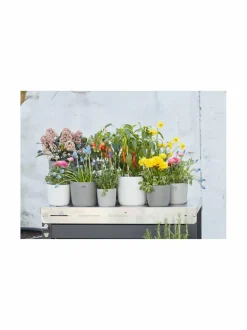 Ruukut & Istutusastiat<Point Virgule Point-ruukku 15.5 x 13.6 cm LIGHT GREY