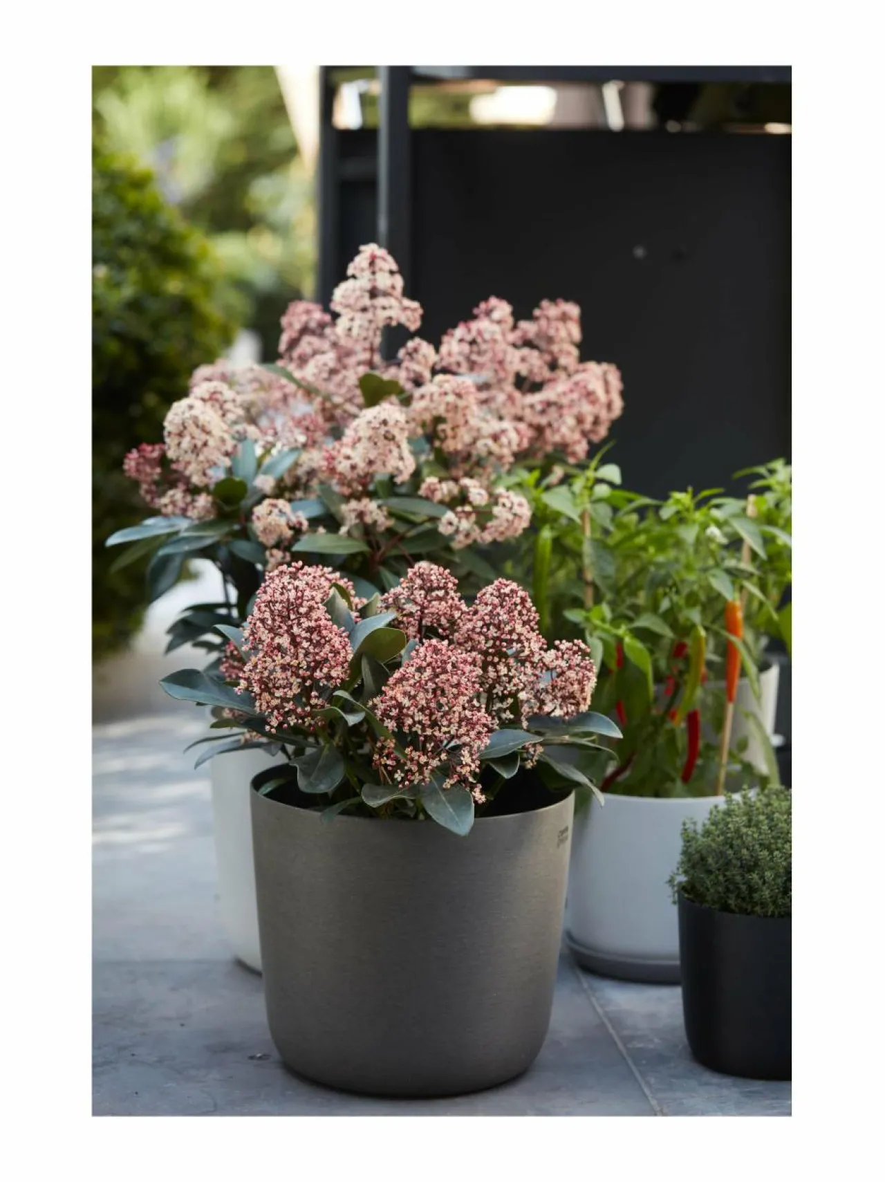 Ruukut & Istutusastiat<Point Virgule Point-ruukku 25 x 22 cm LIGHT GREY