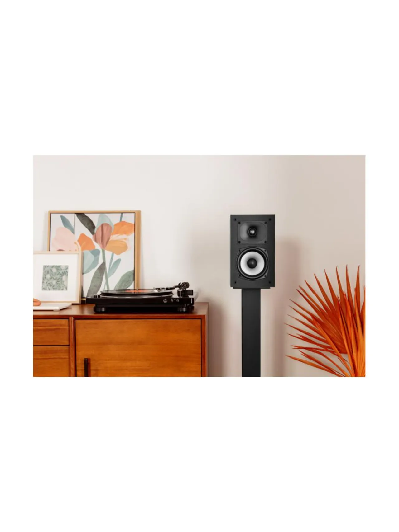 Audio<Polk Audio MXT15 hyllykaiuttimet, musta