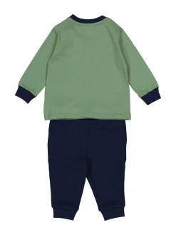 Polo Ralph Lauren Polo Bear-collegesetti^ Colleget & Hupparit