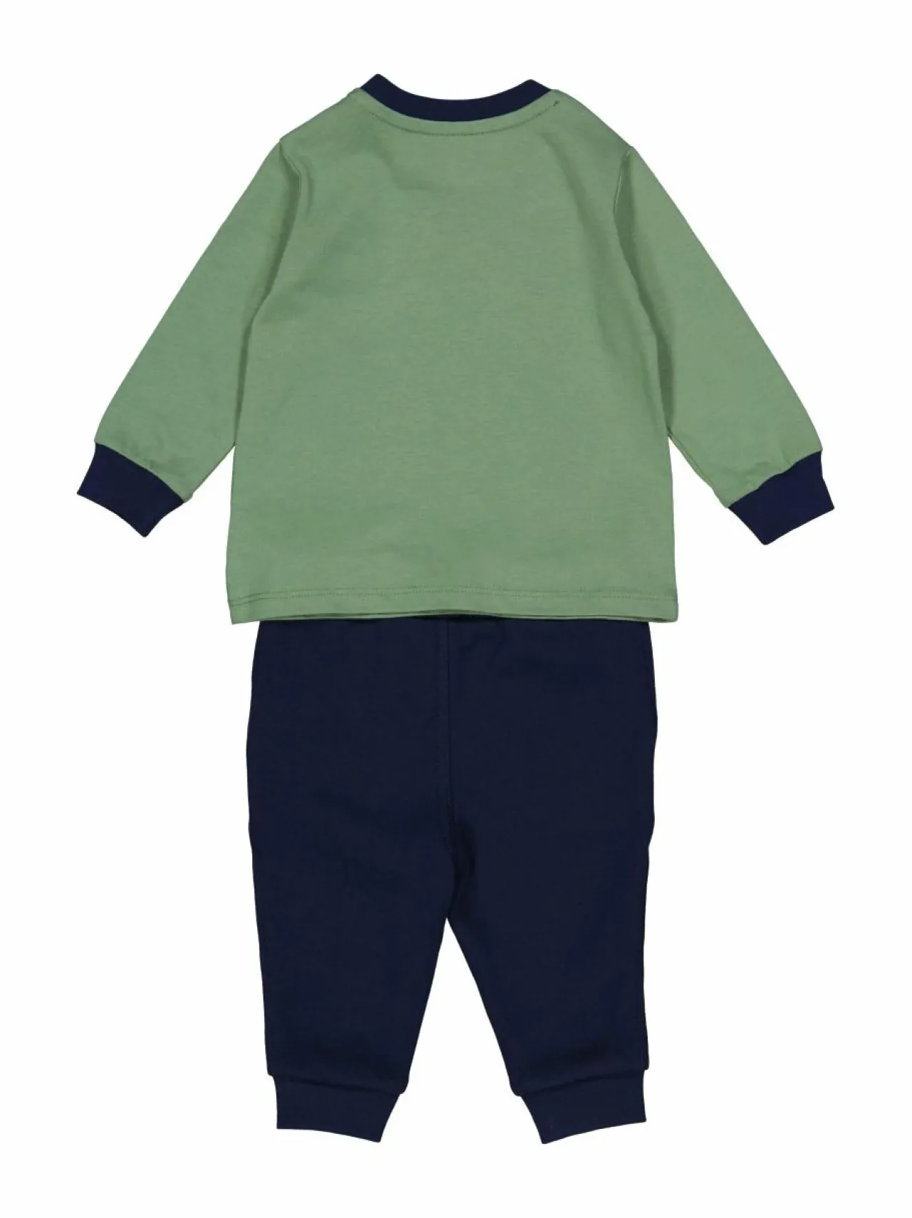 Polo Ralph Lauren Polo Bear-collegesetti^ Colleget & Hupparit