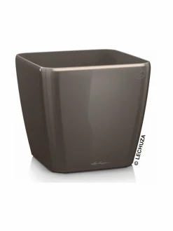 Lechuza Quadro Taube Altakasteluruukku pyörillä ∅43cm, korkeus 40cm^ Ruukut & Istutusastiat