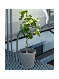 Ruukut & Istutusastiat<HAY Ruukku ja aluslautanen ø 14 cm HARMAA