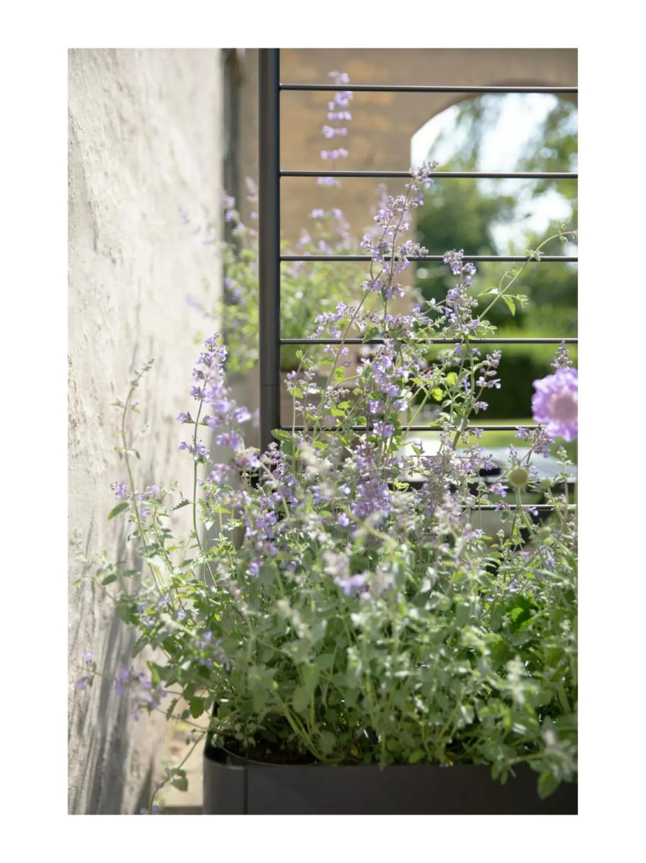 Eva Solo Outdoor Simply Grow tuki kasvilaatikoihin^ Ruukut & Istutusastiat