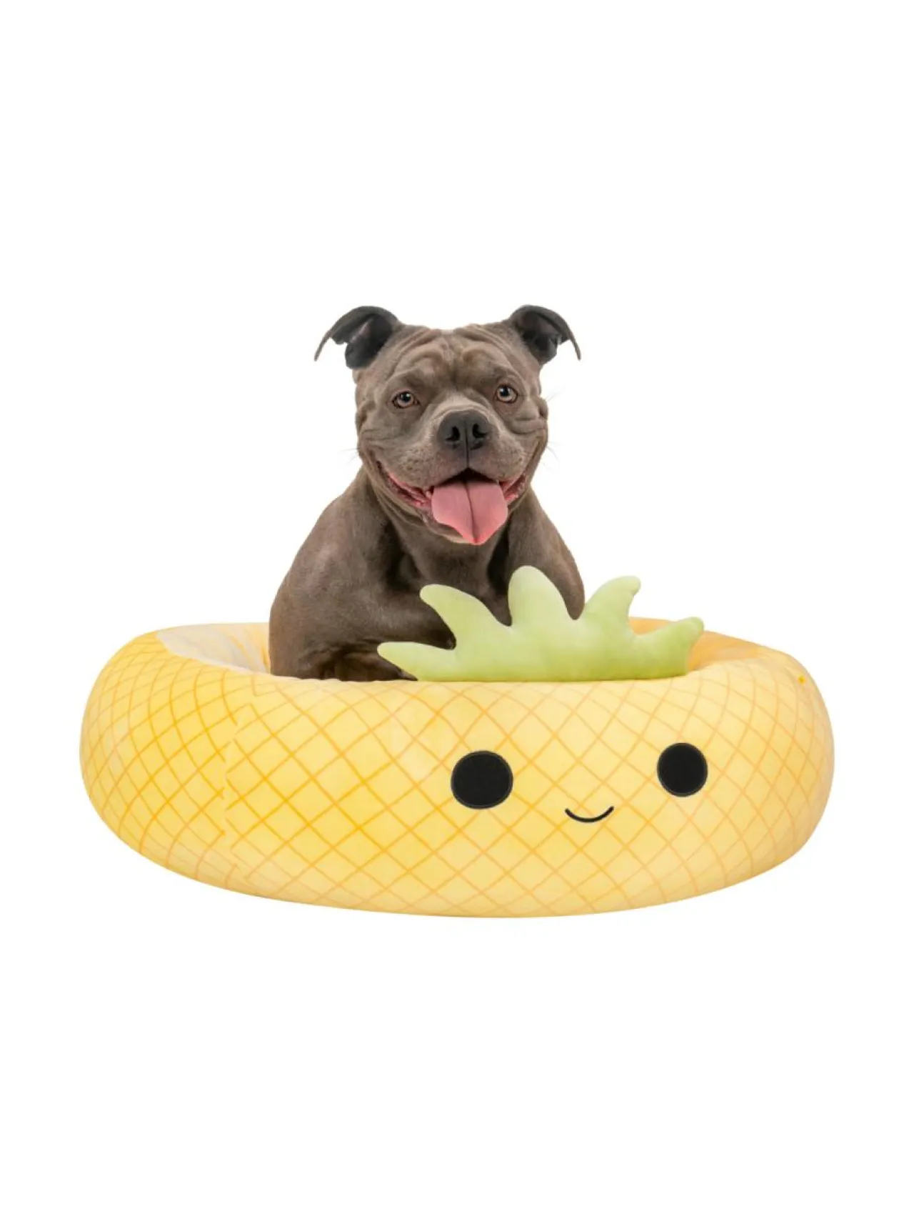 SQUISHMALLOWS Lemmikin peti Maui-ananas, 75 cm^ Pehmolelut