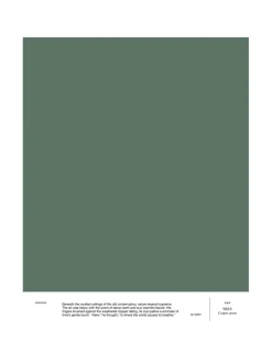Maalit<Cover Story Sävymalli AR3 NILS - copper green