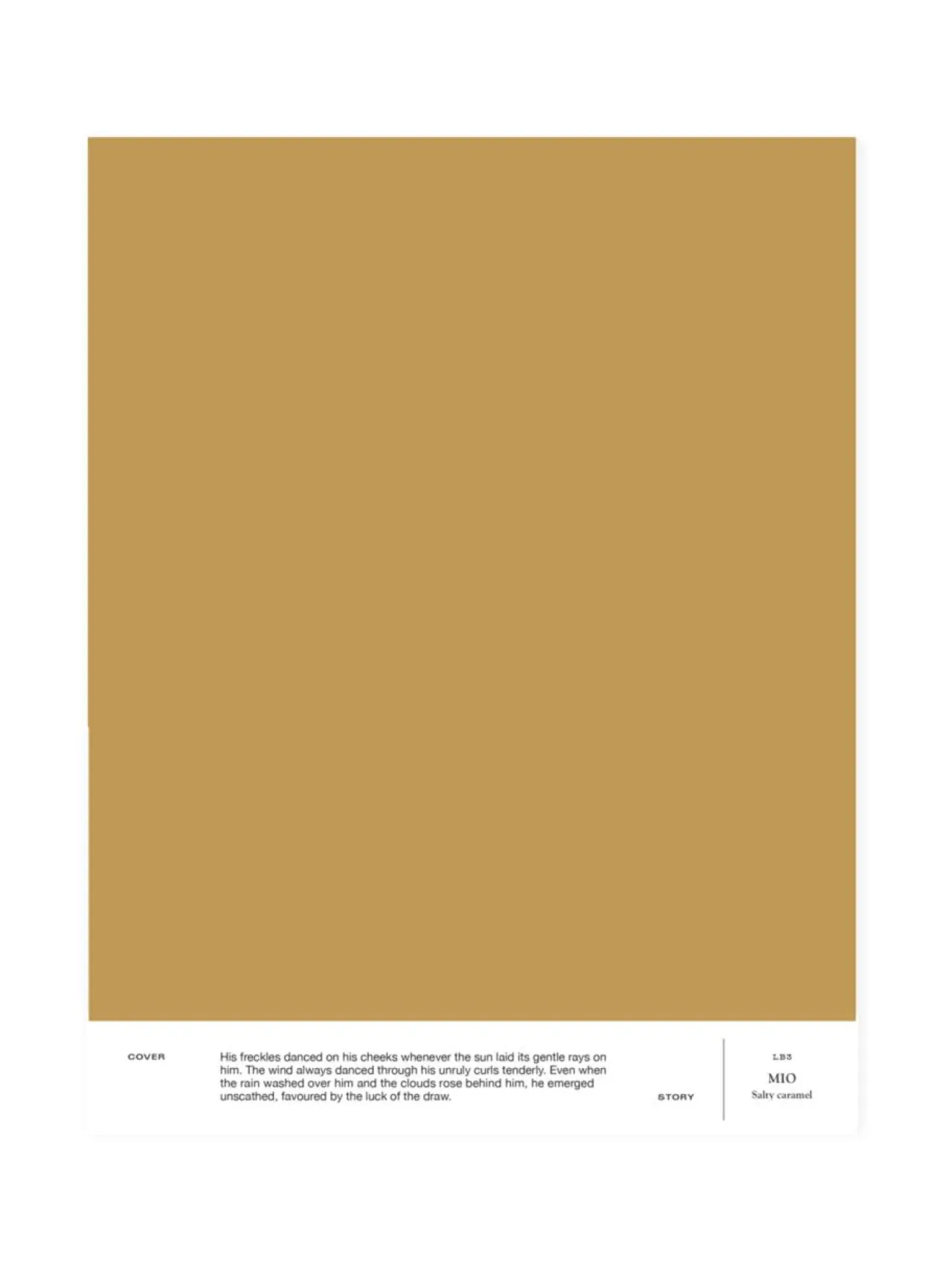 Cover Story Sävymalli LB3 MIO - salty caramel^ Maalit