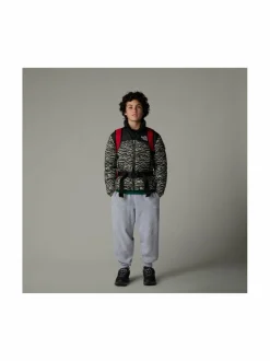 Ulkoiluvaatteet<The North Face Teen 1996 Retro Nuptse -untuvatakki CLAY GREY TNF TIGER STR