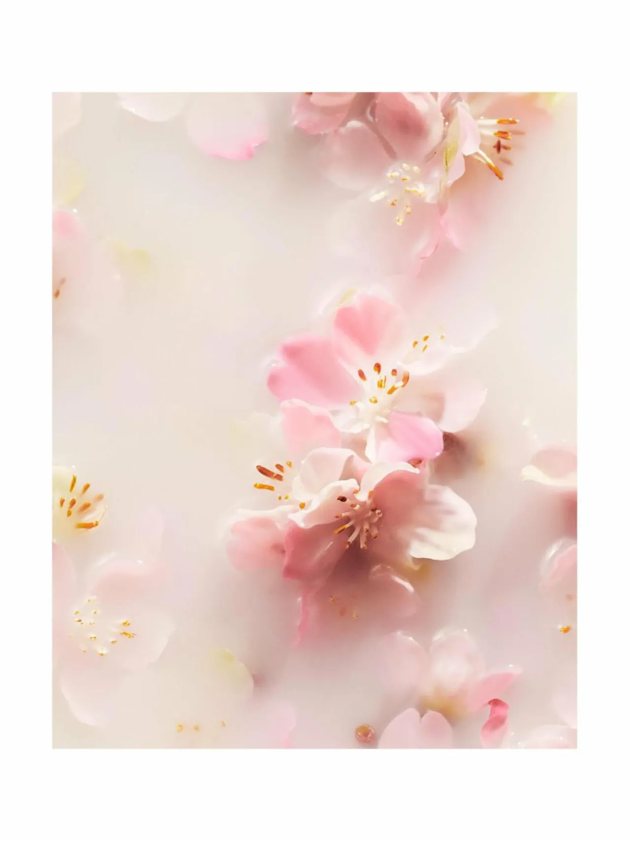 Rituals The Ritual of Sakura Medium Gift Set -ihonhoitopakkaus^ Ihonhoitopakkaukset