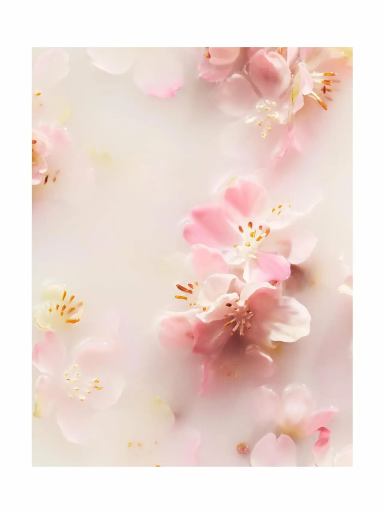 Vartalonhoito<Rituals The Ritual of Sakura Recovery Hand Balm -käsivoide