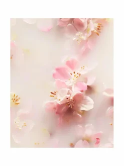 Ihonhoitopakkaukset<Rituals The Ritual of Sakura Small Gift Set -ihonhoitopakkaus