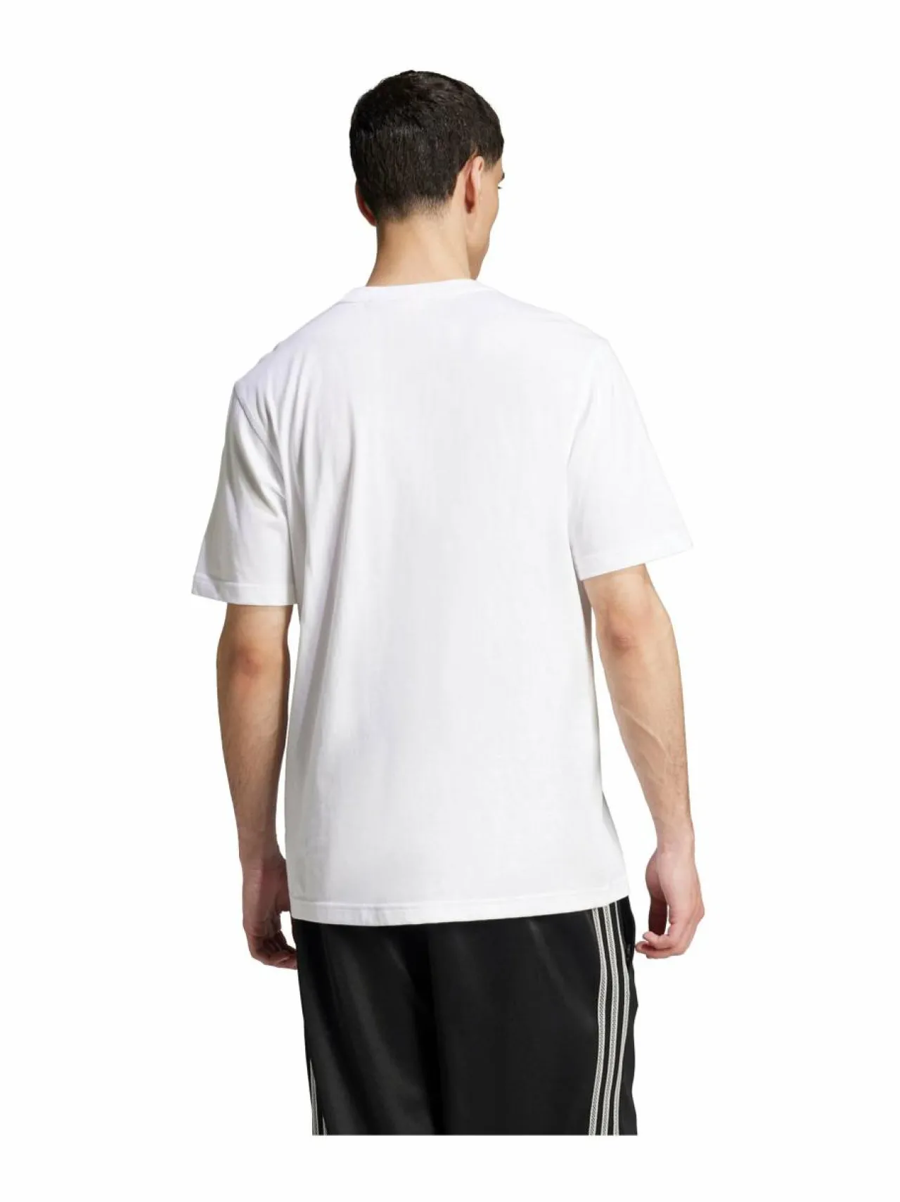 Paidat, Hupparit & Colleget<adidas Originals Trefoil Essential t-paita JI8544 WHITE