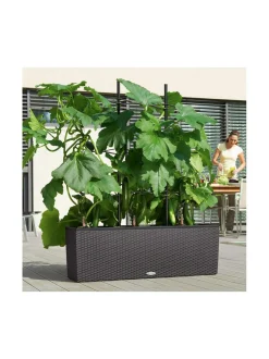 Ruukut & Istutusastiat<Lechuza Trio Stone Altakasteluruukku 100x32cm, korkeus 34cm + jalat 15 cm + köynnöskehikko VALKOINEN