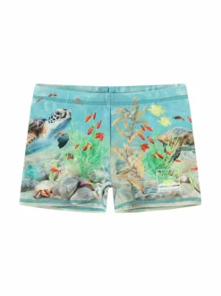 Molo Trunks 10 -uimahousut^ Uima-Asut