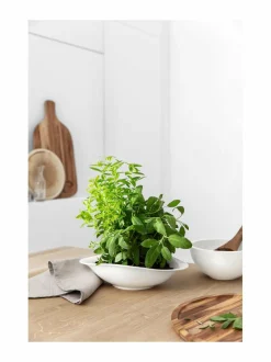 Astiasarjat<Villeroy & Boch Vapiano-pastalautanen 2 kpl VALKOINEN
