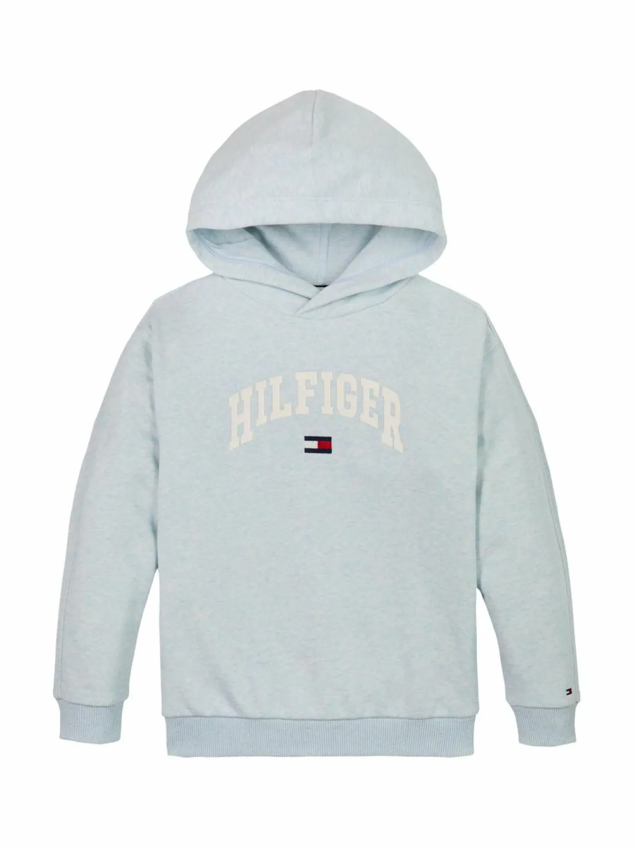 Colleget & Hupparit<Tommy Hilfiger Varsity-collegehuppari DD0 BREEZY BLUE HEATHER