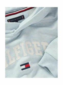 Colleget & Hupparit<Tommy Hilfiger Varsity-collegehuppari DD0 BREEZY BLUE HEATHER