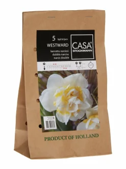 Casa Stockmann Westward-kerrotun narsissin sipulit 5-pack^ Kukkasipulit & Siemenet