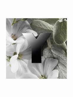 Yves Saint Laurent Y EdP -tuoksu^ Miehet|Tuoksut